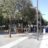 Il nostro viaggio comincia nel prolungamento di via Nicolai, strada che prende il nome dall�area verde che costeggia: piazza Umberto. All�incrocio tra quest�ultima e via Sparano si trova �Libri & Libri�, attivo dal 1943